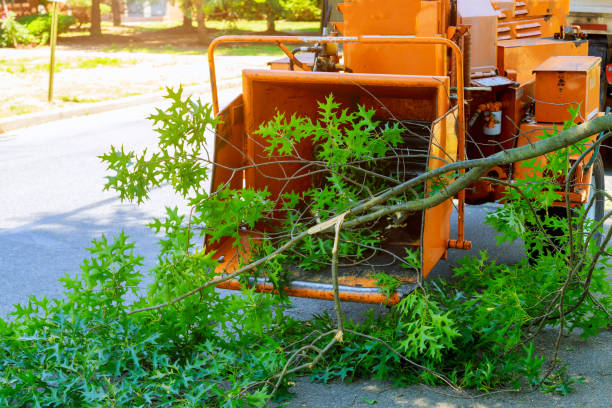  Cayce, SC Tree Service Pros